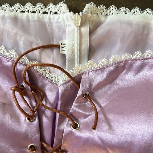 Princess Costume for Adult Women, Cosplay, Party Sz-2xL - Picture 11 of 14